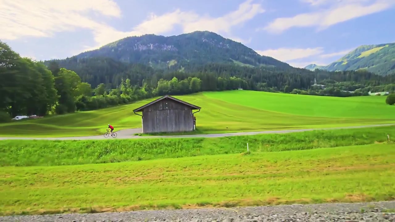 Viaggio in treno in Austria attraverso campi aperti, edifici agricoli sparsi, pinete e pendii montani, catturando paesaggi rurali pacifici dal finestrino.