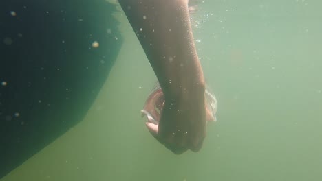 a girl releasing a large bass in a lake caught while fishing on a sunny day