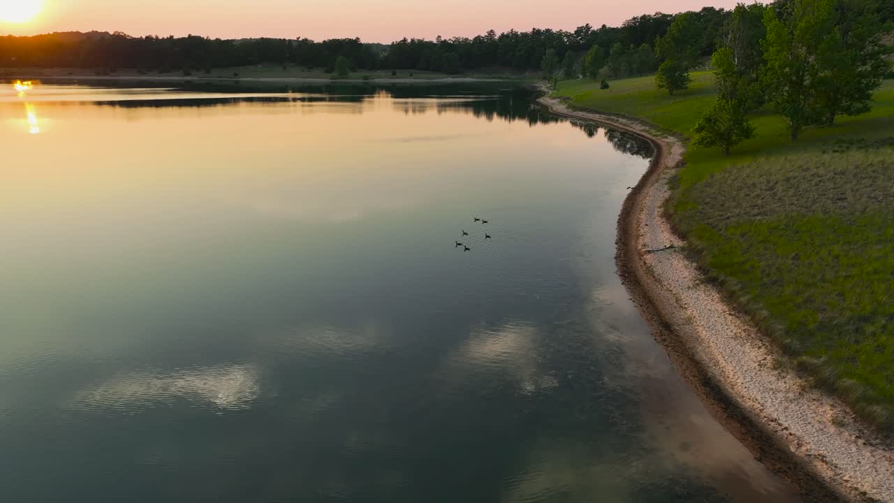 Ducks swimming along the lake's surface during early sunset
