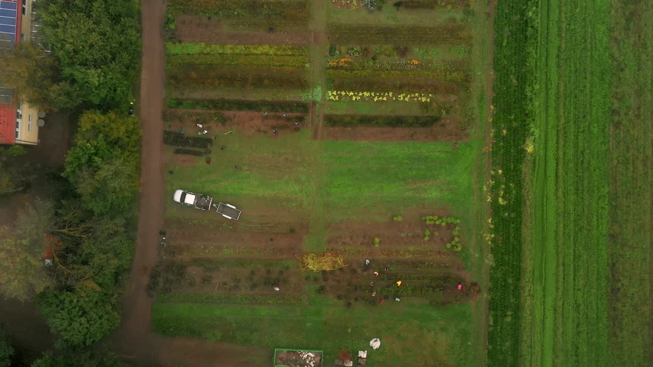 personas anónimas trabajando en plantaciones agrícolas en un día soleado