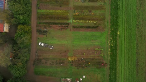 anonymous people working on agricultural plantations on sunny day