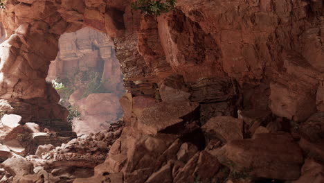 Dentro-De-Una-Cueva-De-Piedra-Caliza-Con-Plantas-Y-Sol