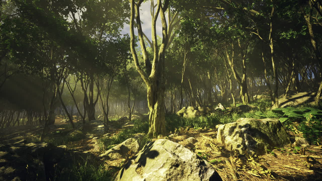 la luz del sol filtrándose a través de los árboles en un paisaje forestal sereno