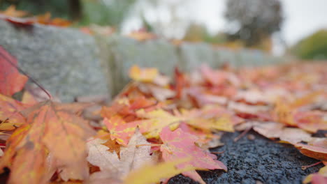 Herbstblätter-Wehen-Sanft-über-Den-Bürgersteig-In-Der-Herbstbrise