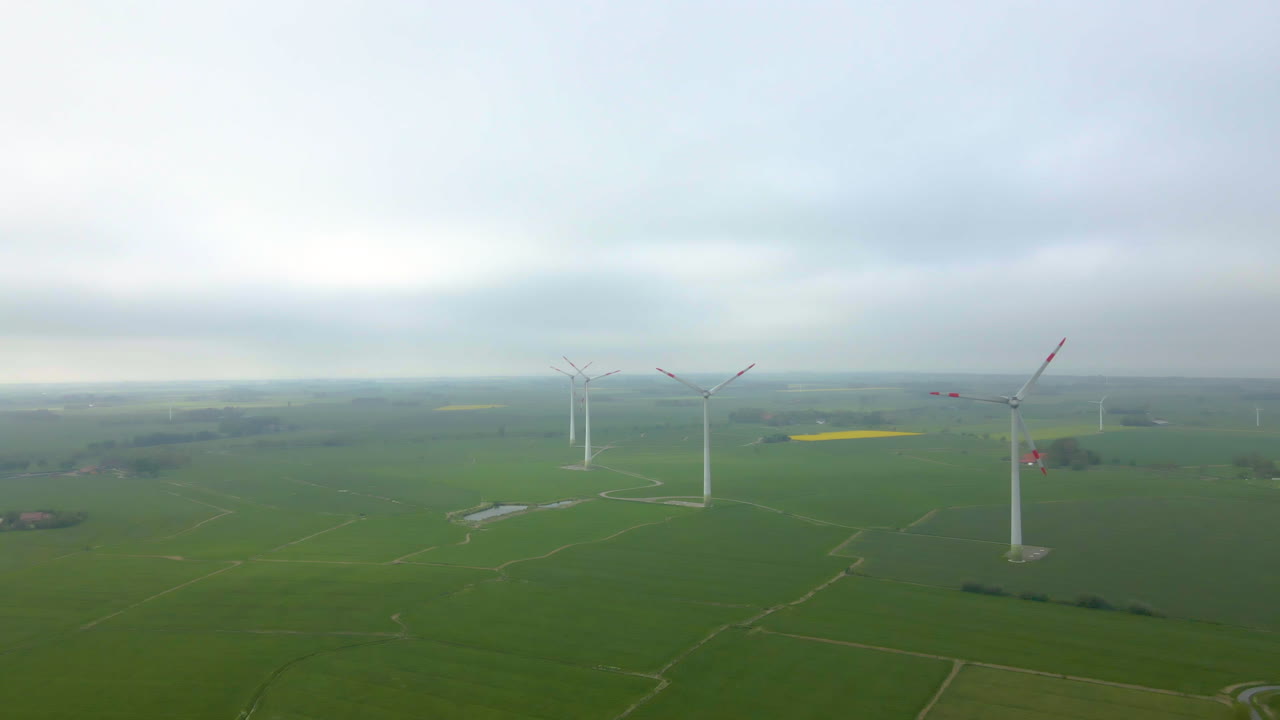 안개 낀 아침에 상록수 농지에서 풍차 대체 에너지