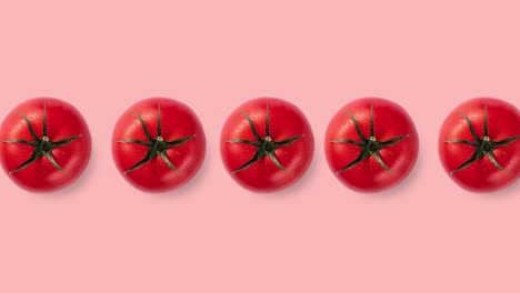 many red and ripe tomatoes animated on a pink background, top view. template with fresh red vegetables for advertising