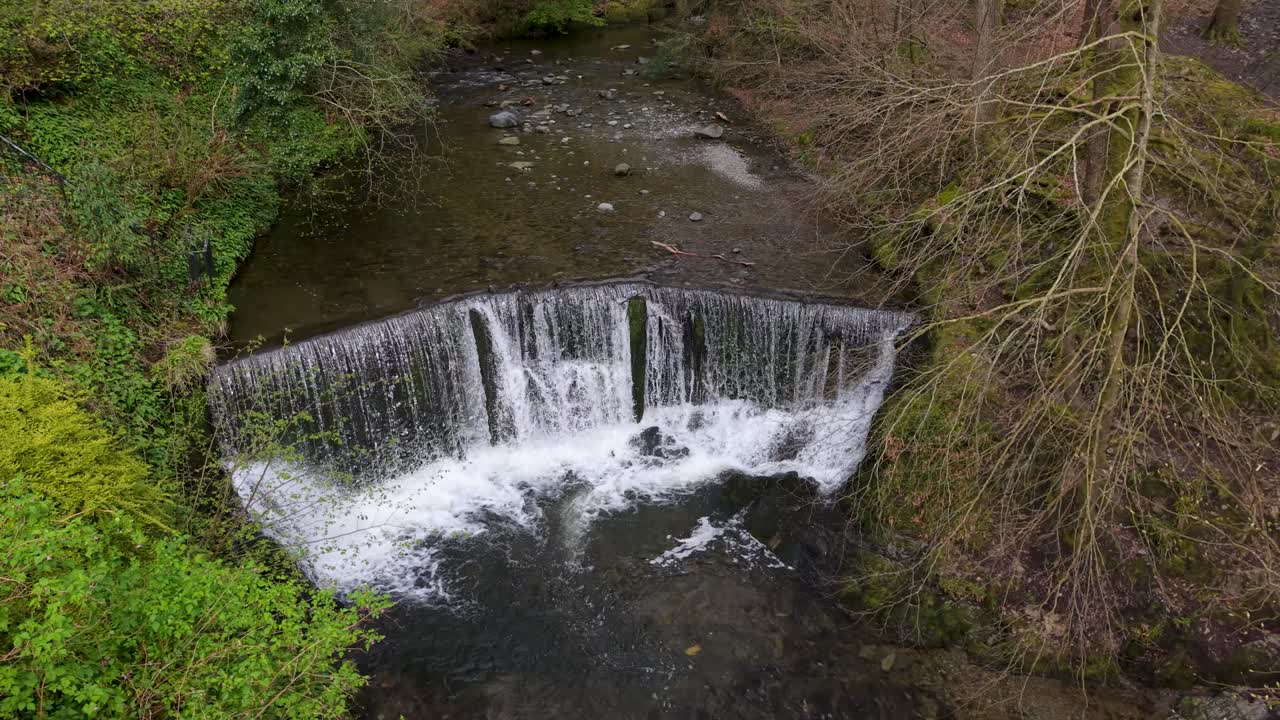 Een langzame stijging met een drone onthult een brede watervalstuw die neerstort in een bosrivier bij Ambleside, Cumbria, omringd door weelderige groene vegetatie. Lake District, winterlicht.