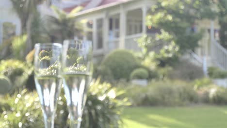 display of champagne flute and wine glass for consumption