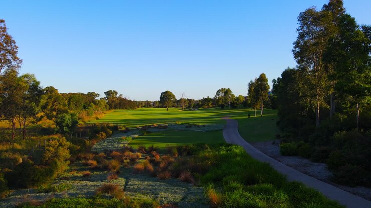 Ripresa lenta da drone dalla piazzola di partenza di un campo da golf con un bellissimo cielo blu, verso un albero solitario e un bunker di sabbia.