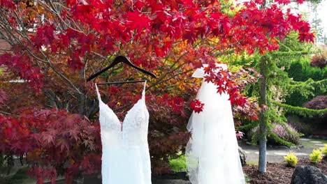 wedding dress hanging from a tree before the wedding