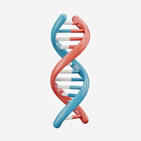 3d render of a dna double helix structure on white background