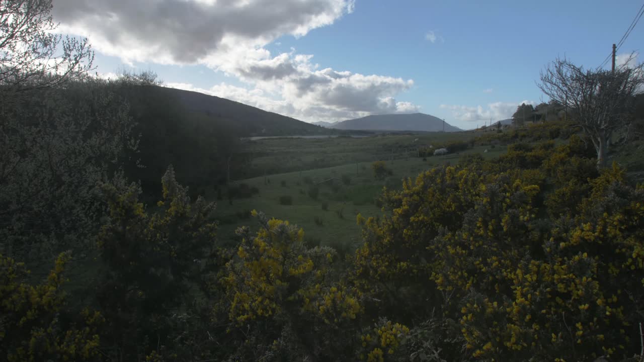 time-lapse de ovejas en un campo en las tierras altas de irlanda