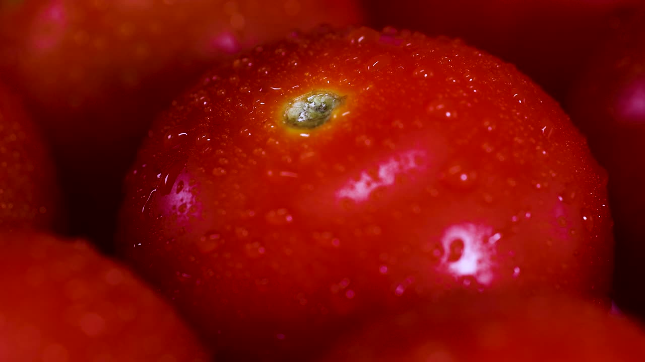 Macro video showcasing rotating cherry tomatoes with water droplets, highlighting vibrant red colors and smooth textures