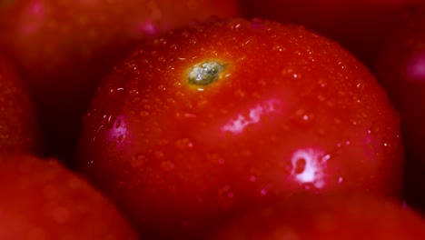 macro video showcasing rotating cherry tomatoes with water droplets, highlighting vibrant red colors and smooth textures