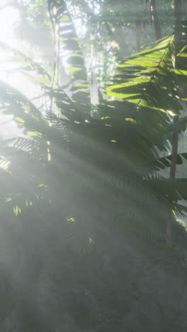 sunlight filtering through dense green foliage in a tropical forest