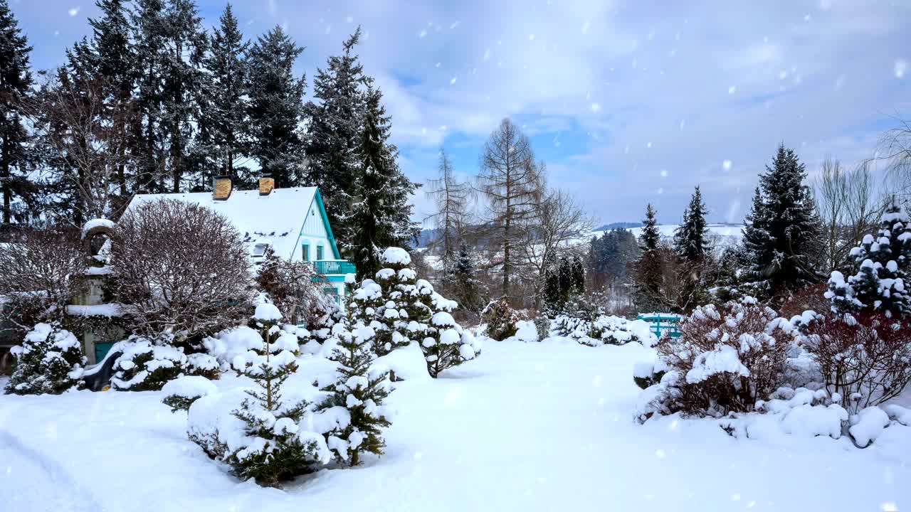 겨울 정원 매 없는 루프 배경과 눈송이