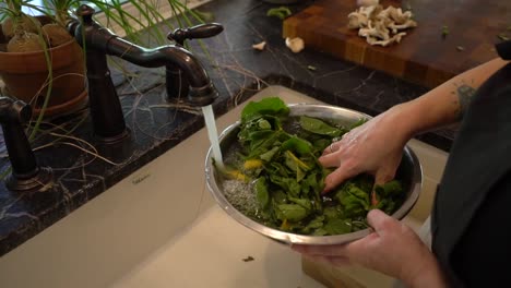 a person rinses greens in a bowl