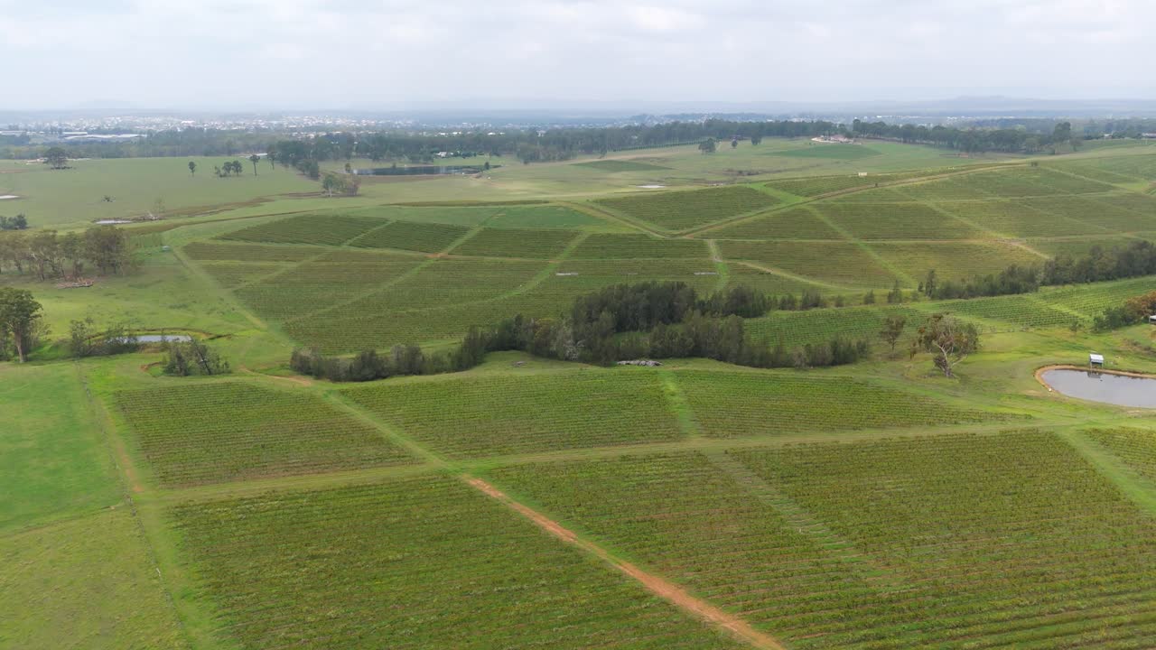 Hunter Valley wine region of New South Wales, Australia, taken with a drone