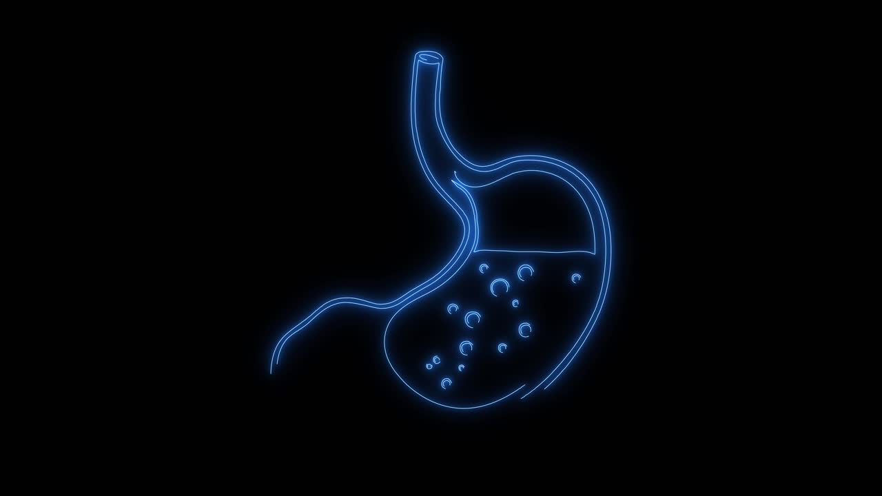Glowing Neon Outline of Human Stomach with Digestive Bubbles