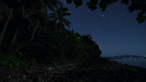 Un-árbol-Se-Ilumina-Mientras-Las-Luciérnagas-Se-Mueven-A-Su-Alrededor-Con-Estrellas-En-El-Fondo-Tomadas-Cerca-Del-Mar