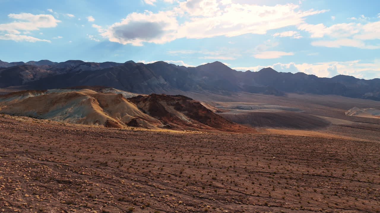 Arbusti multipli che ricoprono il paesaggio desertico. Rocce nude abbagliate dal sole caldo sullo sfondo. Death Valley National Park, California, USA