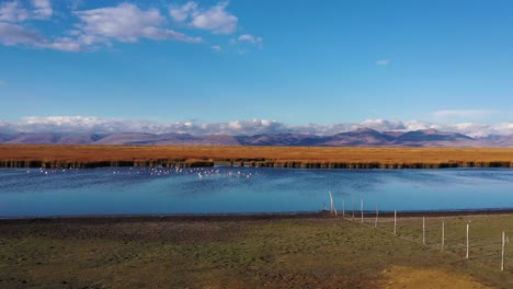 beautiful view of large andean lake in per?