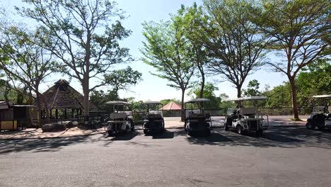 golf carts moving through zoo parking area