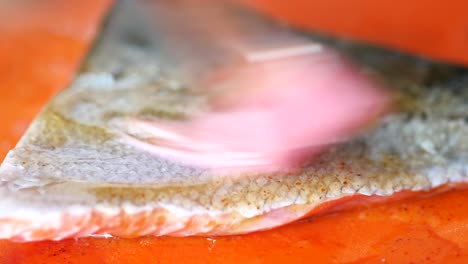 preparing a salmon fillet