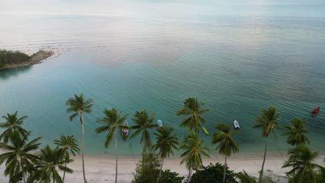 Toma-Aérea-De-Un-Camión-De-Palmeras-En-Una-Playa-De-Arena-Con-Un-Océano-Tranquilo-En-Koh-Samui,-Tailandia,-De-Arriba-Hacia-Abajo