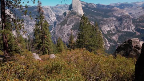 Tiro-Inclinado-Desde-El-Follaje-Hasta-La-Mitad-De-La-Cúpula-Y-El-Valle-De-Yosemite-Desde-El-Punto-Del-Glaciar