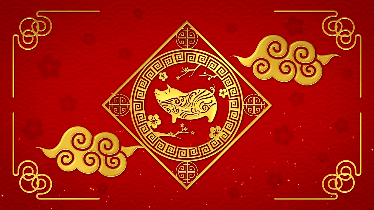 año nuevo chino 2019 con zodiaco de cerdo dorado en fondo rojo en bucle
