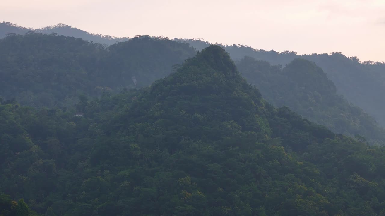 Foggy forest and hills landscape in the morning