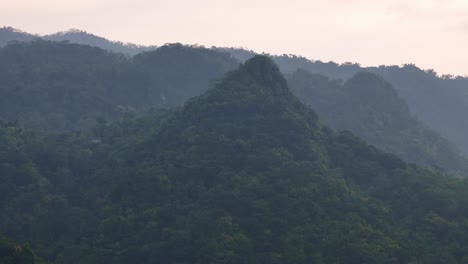 foggy forest and hills landscape in the morning