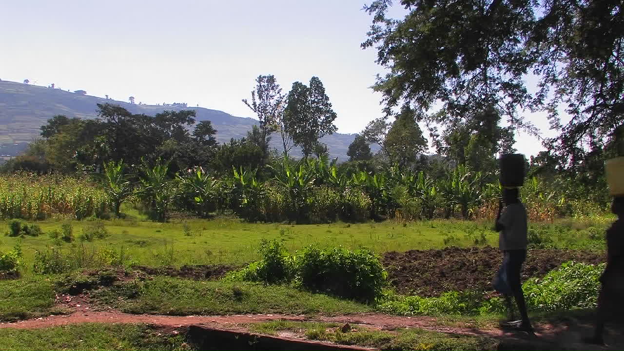 여자들이 머리에 꾸러미를 이고 시골 길을 걷고 있다