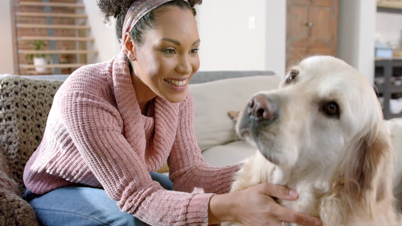 Happy biracial woman petting golden retriever dog at home, slow motion