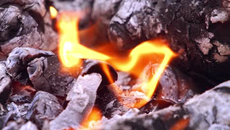 orange flame over the burning wood. embers of black firewood burn-out. glowing coals. close-up.