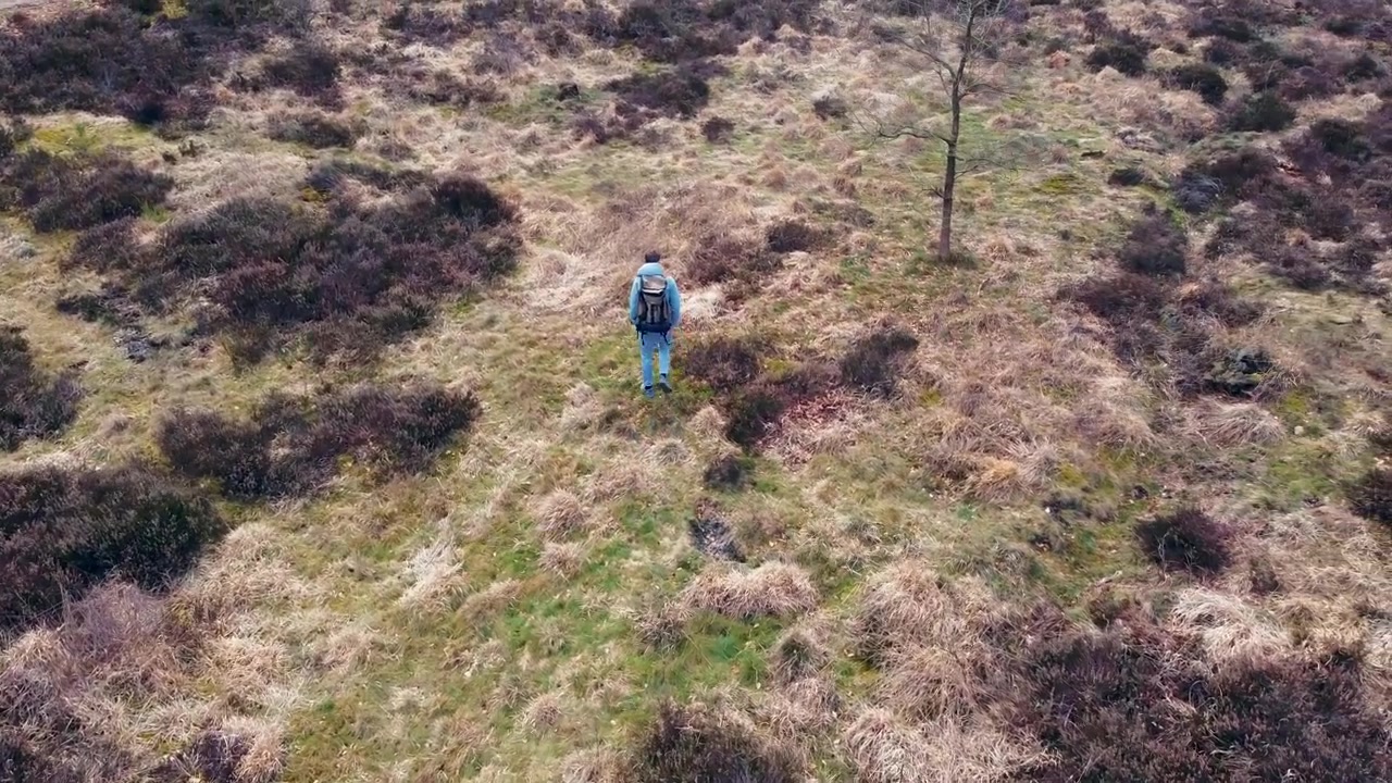 Young man Hiking in the wilderness, aerial view around the hiker walking in one direction.