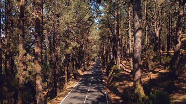 Ripresa aerea delle montagne del Teide con una strada sullo sfondo verso il vulcano e i suoi pini delle Canarie 4K 60Fps