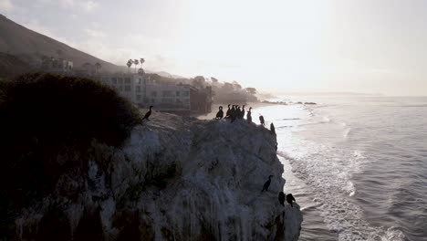 Double-Crested-Cormorant-Birds-on-Cliff-at-El-Matador-Beach,-California---Aerial