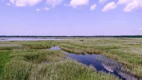 Jurmala,-Letonia---Vista-Del-Pantano-Del-Sendero-De-Juncos-Del-Lago-Kaniera-En-El-Fondo-Del-Parque-Nacional-Kemeri