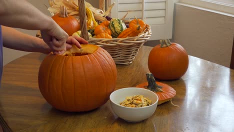 left to right truck shot of a woman scraping seeds out of a pumpkin and putting them into a white bowl on a dining table with natural light from the side