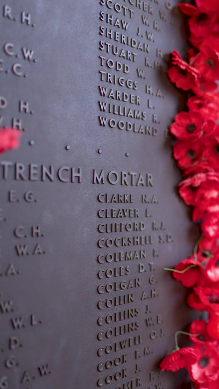 Primer plano de amapolas rojas colocadas entre los nombres del muro de bronce del Roll of Honour.