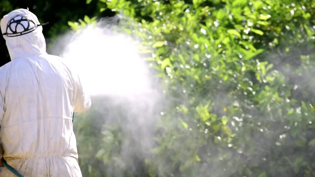 스프레이 생태 살충제