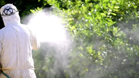 pulverizar pesticida ecológico