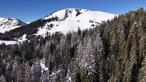 Gefrorener,-Verschneiter-Landschaftswald-In-Den-Alpen,-Schneebedeckt-In-Amden,-Schweiz