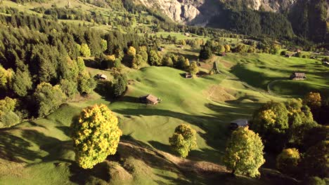 Imágenes-Aéreas-De-Drones-Empujando-Sobre-Prados-Alpinos-En-Colores-Otoñales,-Grindelwald,-Suiza