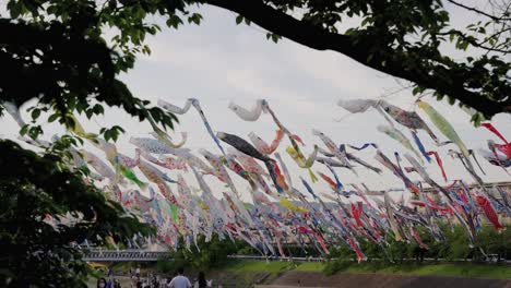 koi streamers flying behind trees at akutagawa sakurazutsumi park, takatsuki