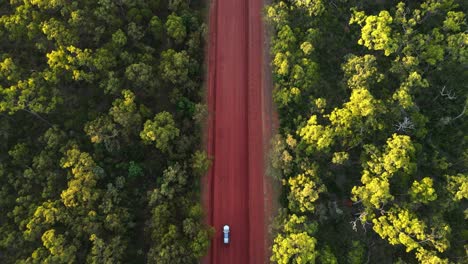 Aerial-overhead-clip-of-4x4-driving-in-remote-outback-Australia,-late-afternoon-on-red-dirt-road,-clip-three