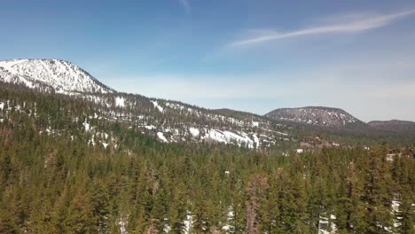 low flight skimming over the tops of trees in a mountain forest