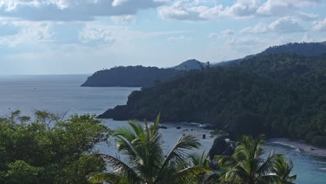 aerial riser from behind palm trees reveals remote tropical caribbean coastline